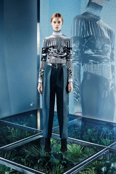 Look 13
